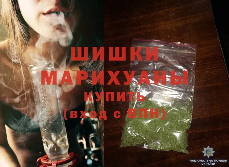 Шишки марихуана Amnesia  Багратионовск 